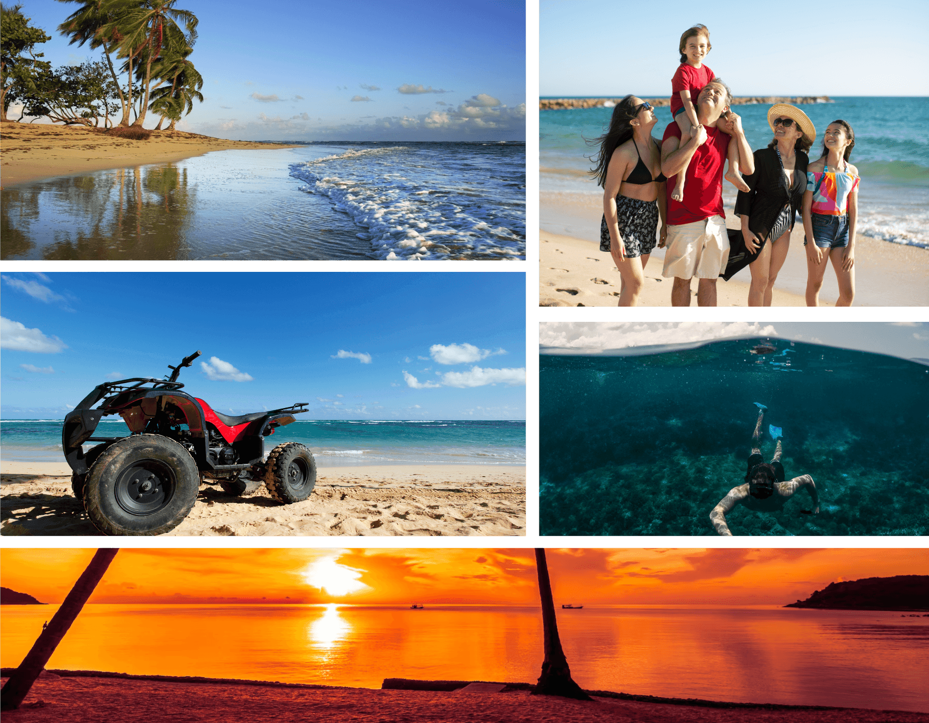 Collage de excursiones de Paradise Tours