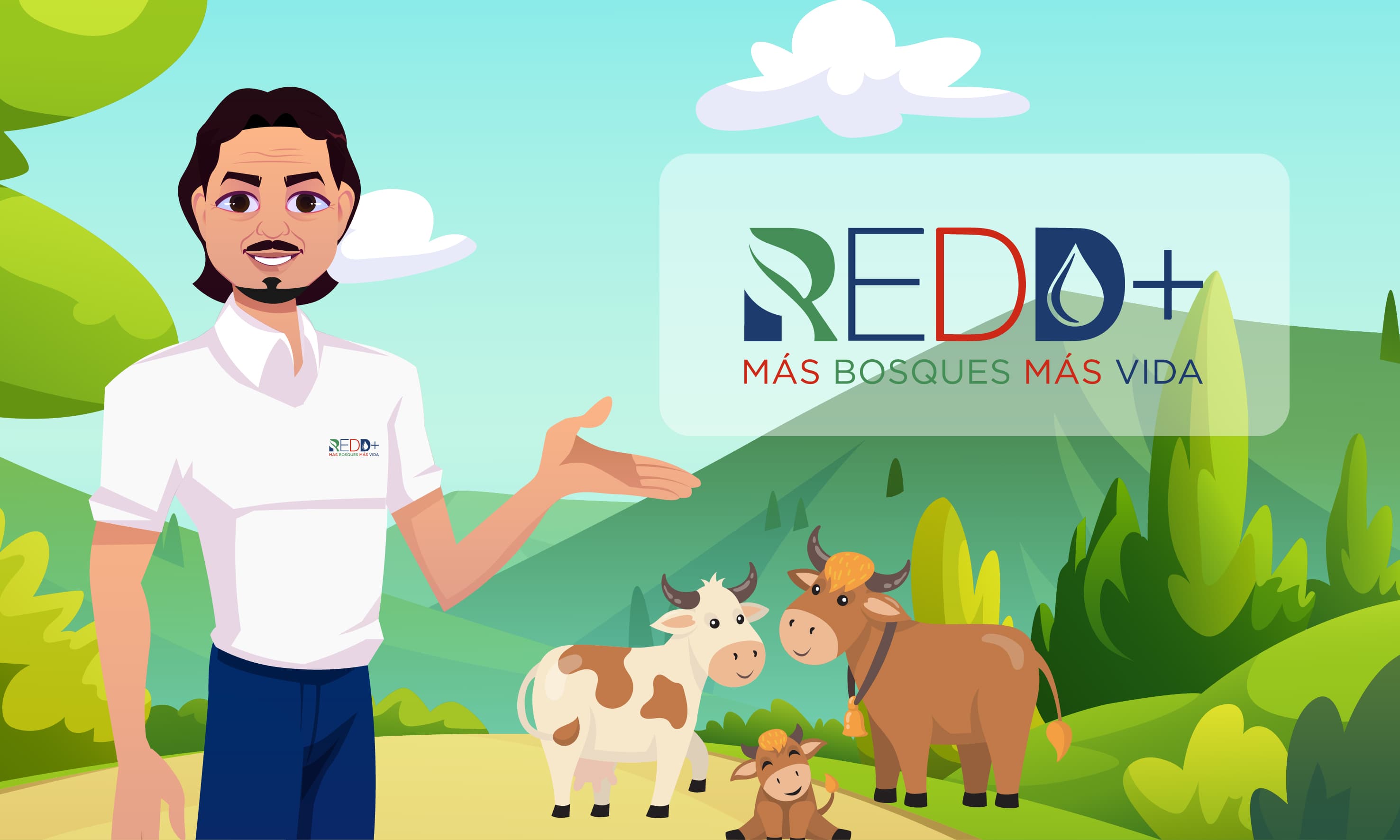 Proyecto REDD+ — siguiente caso