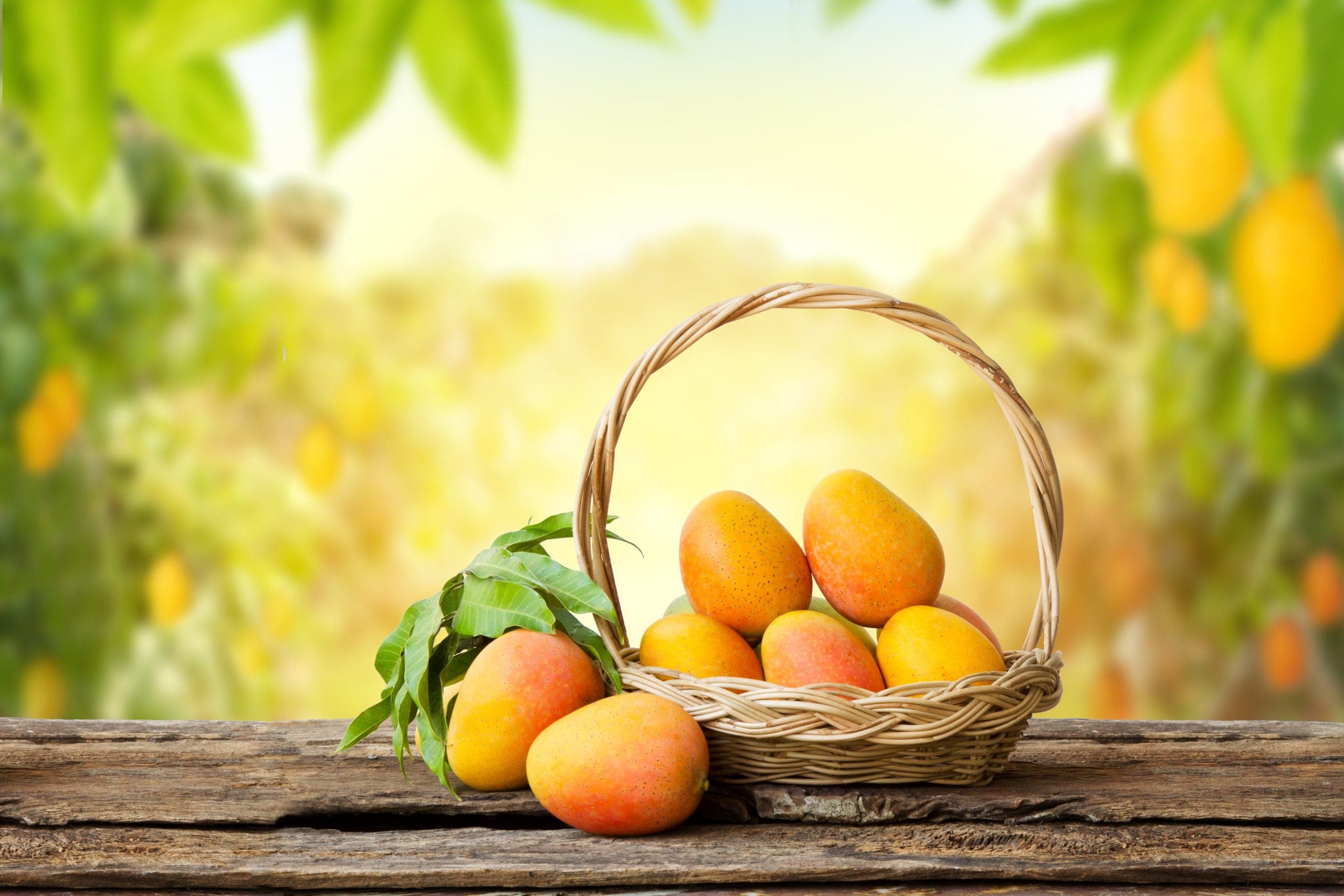 Cesta de mangos tropicales sobre mesa de madera
