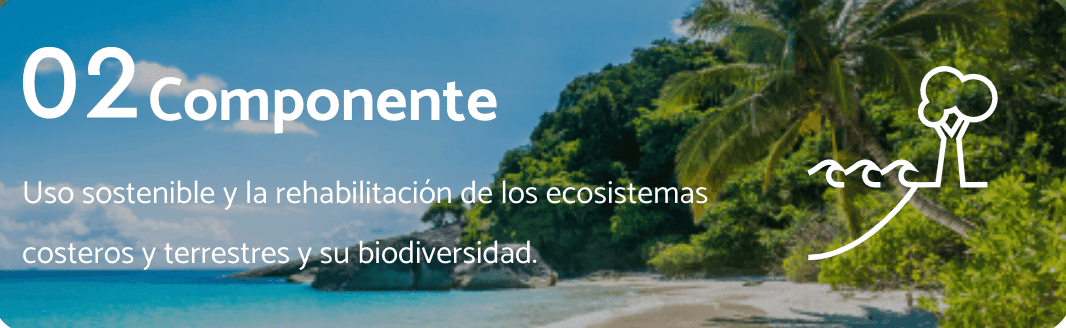 02 Componente — uso sostenible y rehabilitación de los ecosistemas