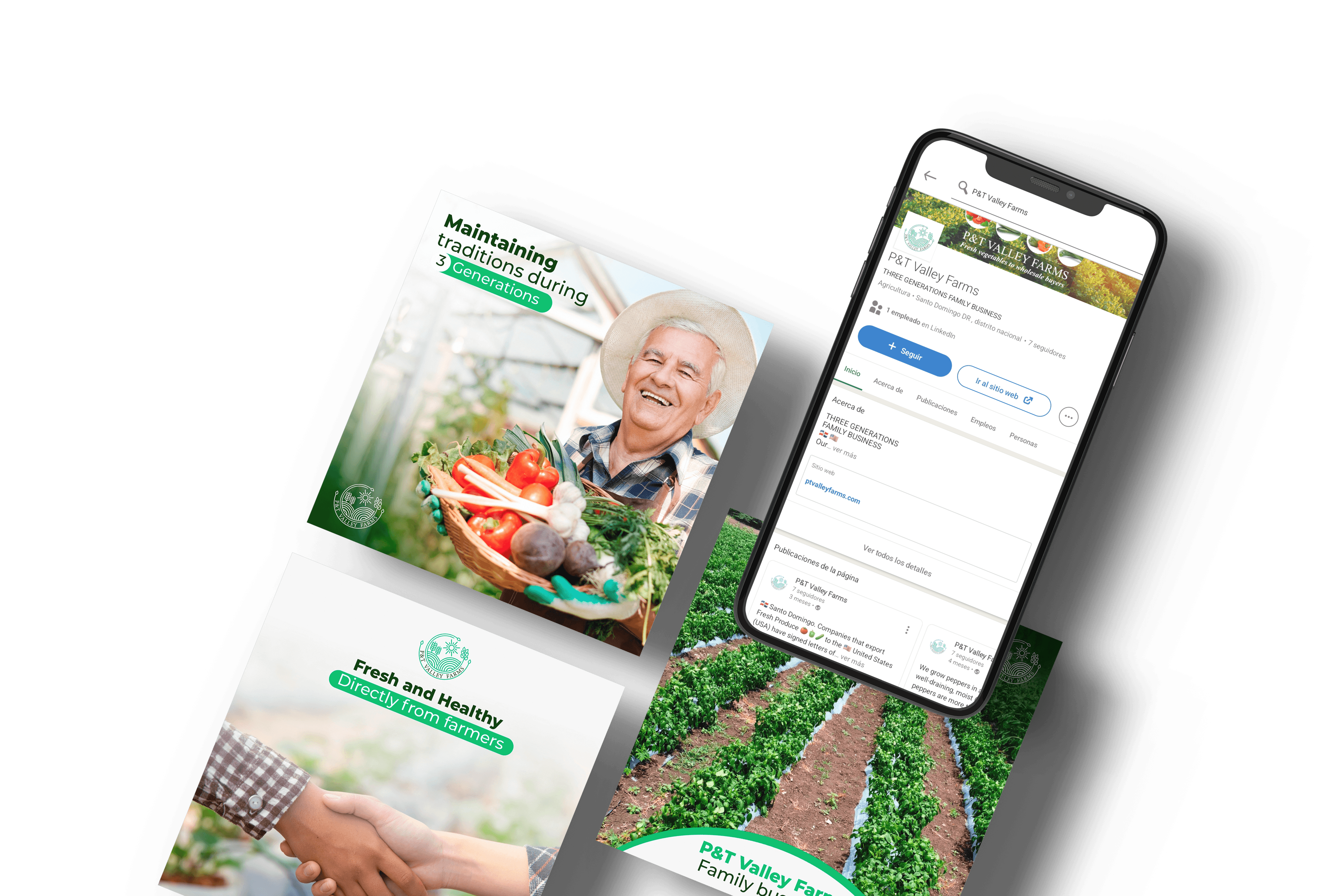 LinkedIn de P&T Valley Farms