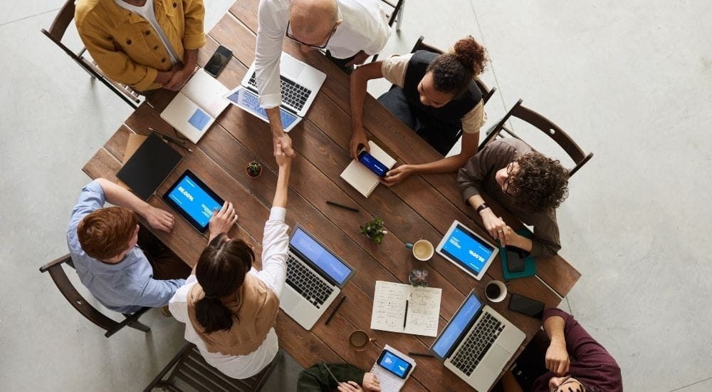 - marca - organizacion workshop - ux/ui