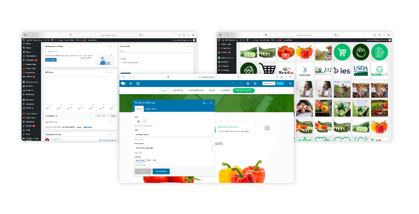 - wordpress - web 8 - ux/ui