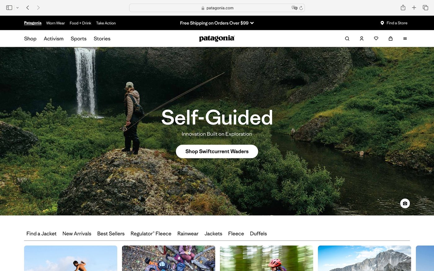 Sitio web de patagonia