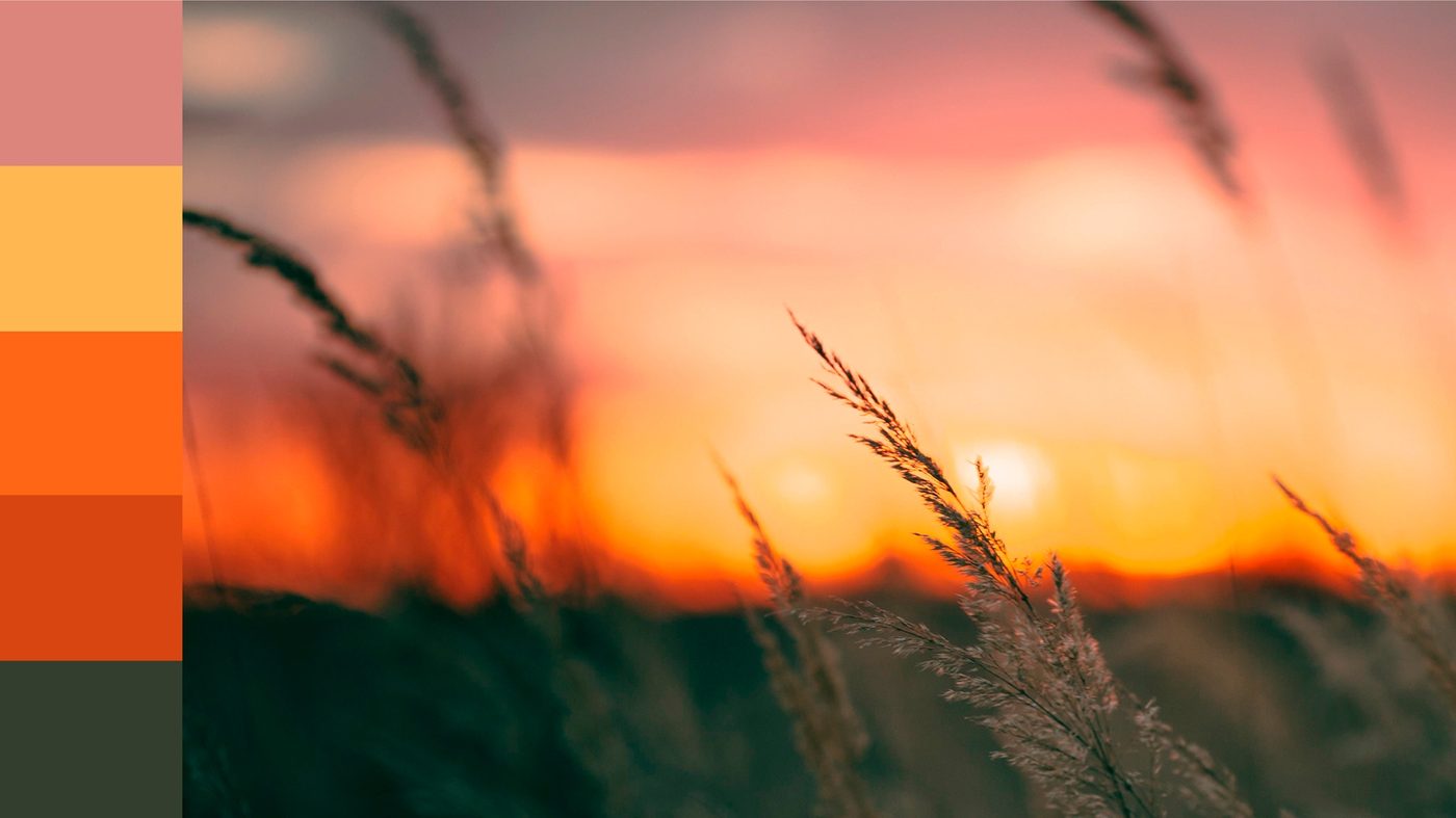 Tonos de atardecer