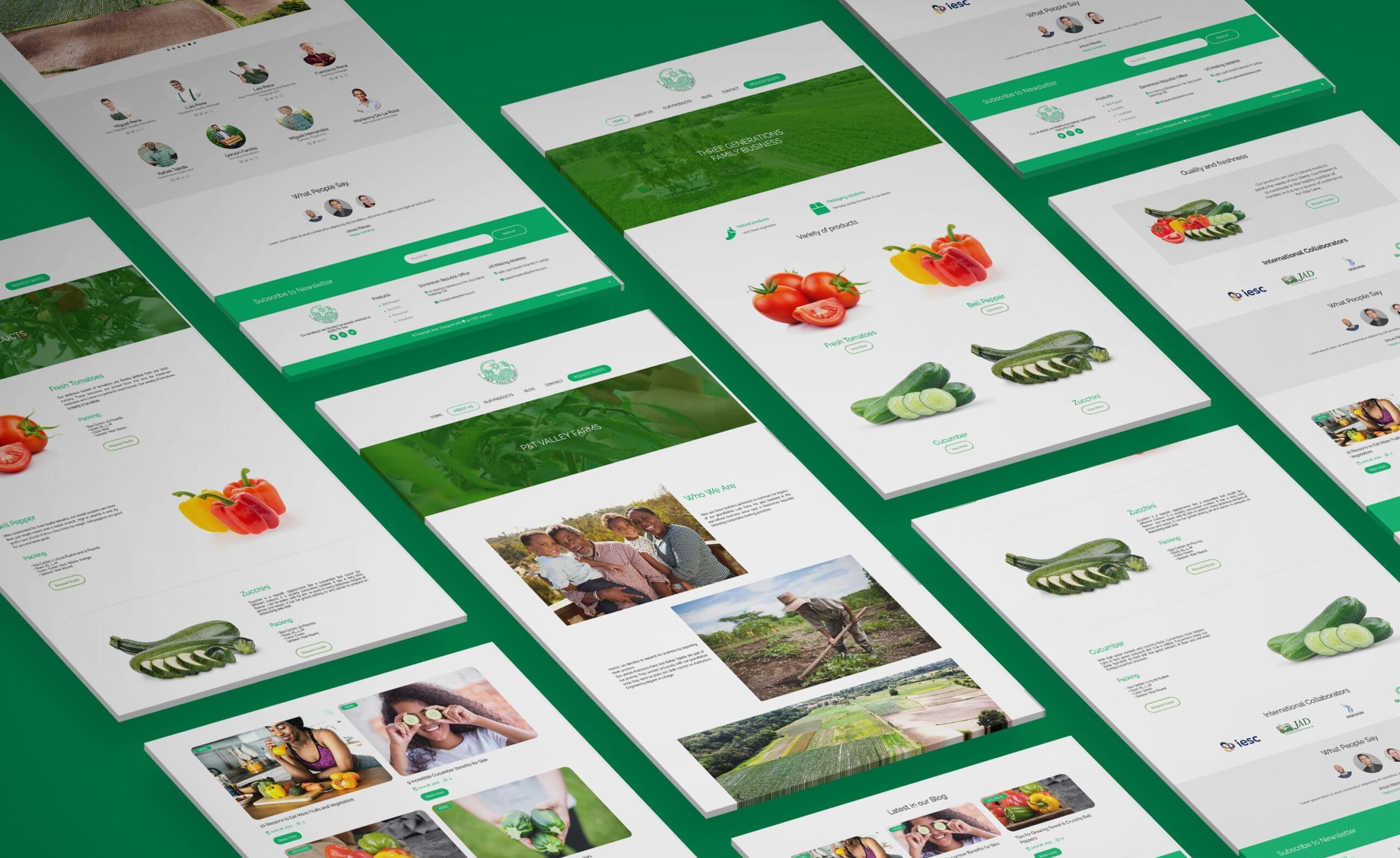 P&Amp;T Valley Farms - P&Amp;T Valley Farms - Branding - p&t valley farms - 389 1 scaled e1756227452521 - branding