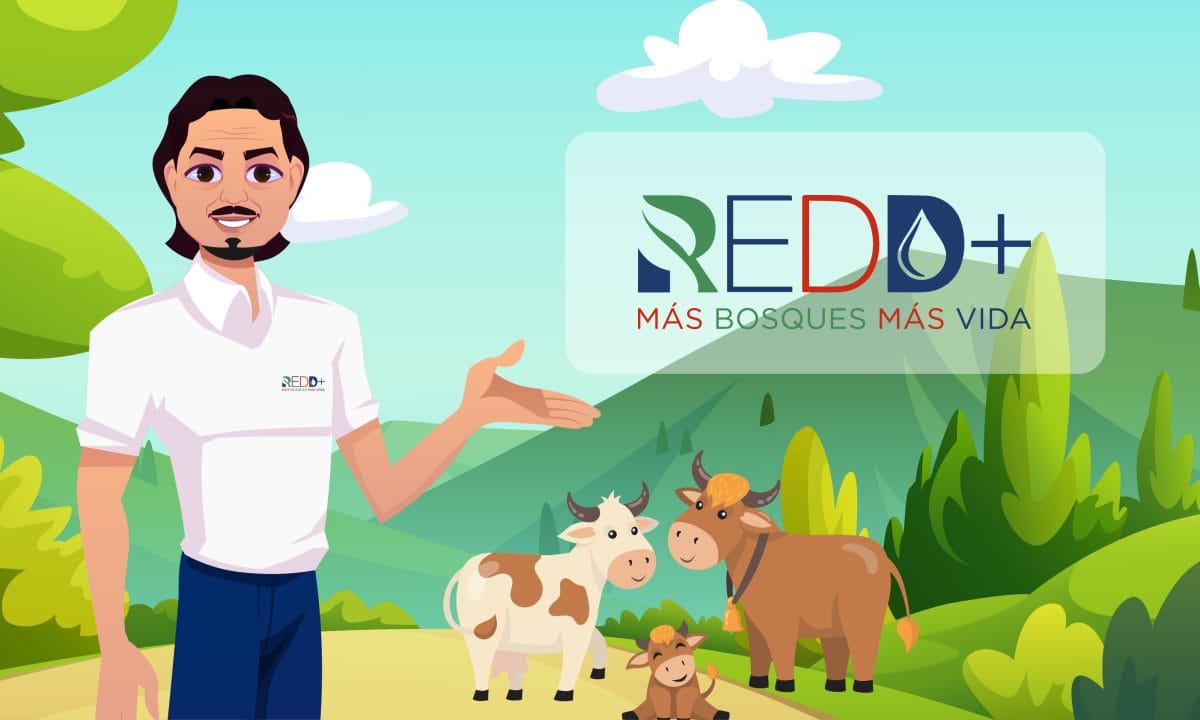 Proyecto Redd+ República Dominicana - Resilient Seibo - Ux/Ui Motion graphics proyecto redd