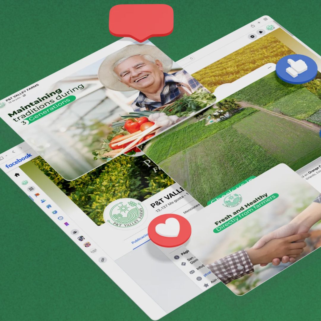 A group of photos of a man and a woman